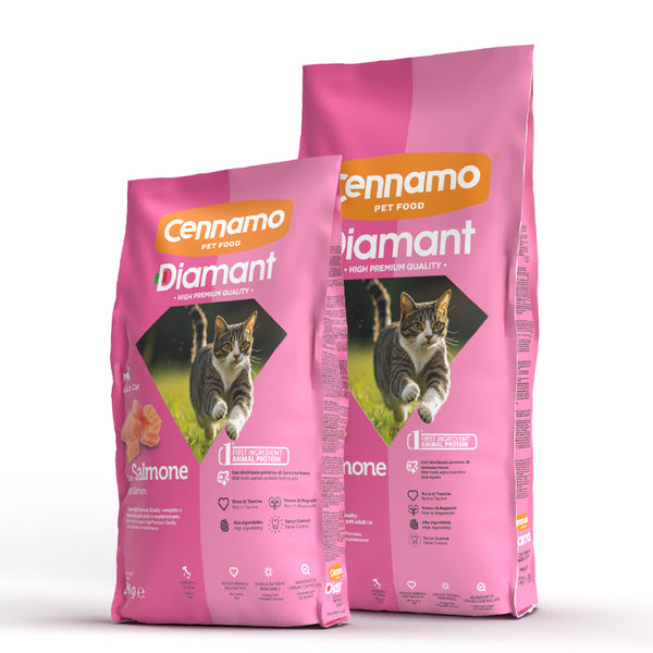 DIAMANT Adult con salmone
